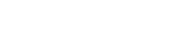 logo-paolillowp